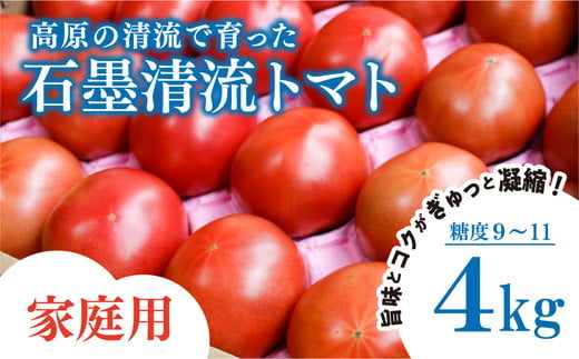 トマト 家庭用 そのままでも 美味しい 【石墨清流トマト】糖度9～11度 久万高原町　※離島への配送不可