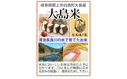 【A-139】「精米」大島米5㎏　令和6年産　新米