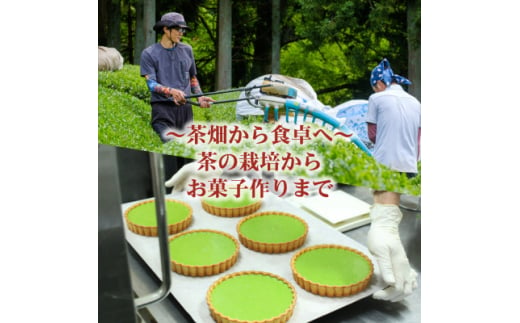 和束産自家栽培茶の濃厚抹茶&ほうじ茶チーズケーキ食べ比べセット《ギフト好適》【1295909】