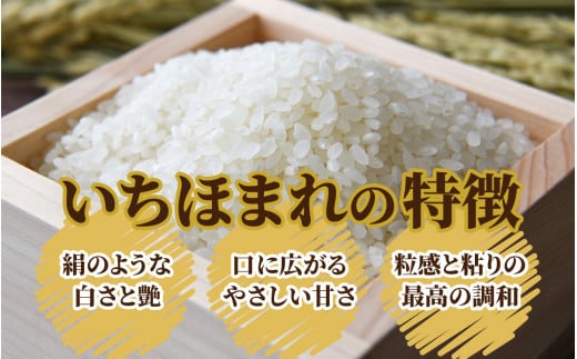 【12ヶ月定期便】【令和6年産 新米】福井県産 いちほまれ（白米）10kg×12回　計120kg