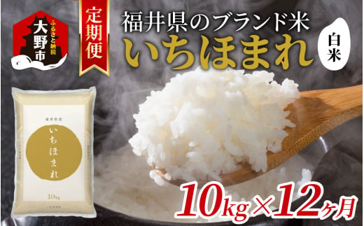 【12ヶ月定期便】【令和6年産 新米】福井県産 いちほまれ（白米）10kg×12回　計120kg