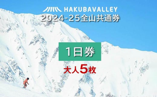 2024-2025 Hakuba Valley 全山共通1日券 大人5枚