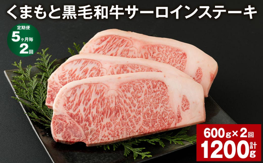 【5ヶ月毎2回定期便】くまもと黒毛和牛サーロインステーキ 計1200g