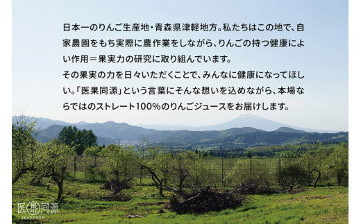 医果同源未熟りんご入り りんごジュース（160g×12本入）
