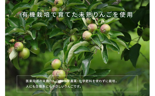 医果同源未熟りんご入り りんごジュース（160g×12本入）