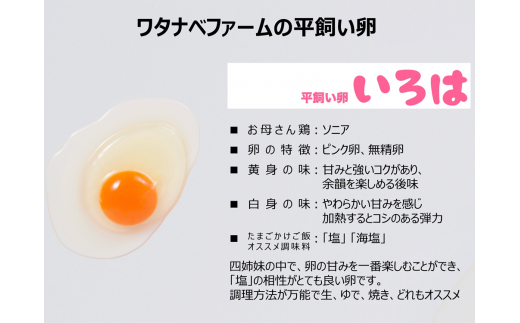 [平飼い卵30個] 全体的に甘みとコクのある黄身が特徴 ワタナベファームの優等生な末っ子【平飼い卵いろは】｜矢板市産 こだわり卵 たまご 玉子 生卵 鶏卵 [0431]