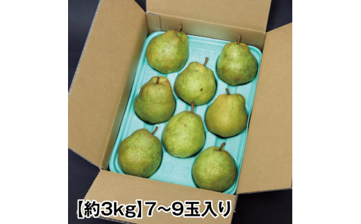 SA2168　山形特産・果物の女王【西洋梨】ラ・フランス約3kg（7～9玉入り）化粧箱入