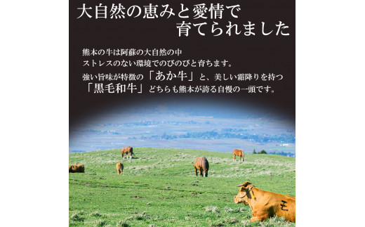 黒毛和牛・あか牛 切り落とし（コマ切れ）食べ比べセット 900ｇ | 熊本県 熊本 くまもと 和水町 なごみまち なごみ 牛肉 肉 黒毛和牛 肥後 冷凍 赤牛 あか牛 小間切れ 切り落とし