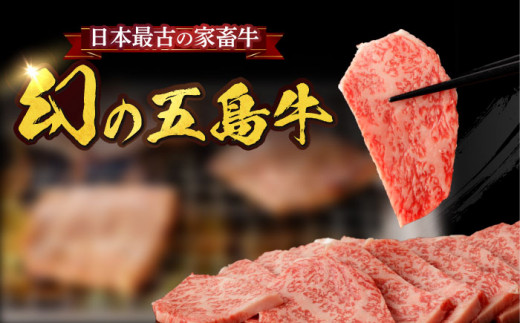 【全3回定期便】五島牛 イチボ 600g / 牛肉 和牛 長崎和牛