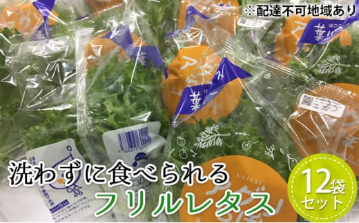 植物工場産　洗わずに食べられるフリルレタス　12袋セット [野菜 水耕栽培 栽培期間中農薬不使用]