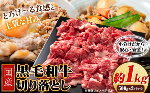 国産黒毛和牛切り落とし 約1kg(500g×2) 株式会社WiN《30日以内に出荷予定(土日祝除く)》大阪府 羽曳野市 送料無料 黒毛和牛 和牛 牛肉 牛 国産 切り落とし