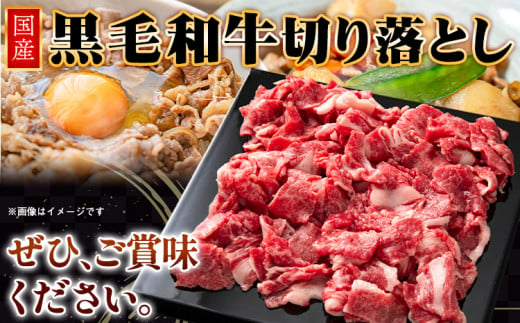 国産黒毛和牛切り落とし 約1kg(500g×2) 株式会社WiN《30日以内に出荷予定(土日祝除く)》大阪府 羽曳野市 送料無料 黒毛和牛 和牛 牛肉 牛 国産 切り落とし