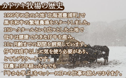 北海道 黒毛和牛 カドワキ牛 モモ スライス 1.05～1.1kg【冷蔵】 【 ふるさと納税 人気 おすすめ ランキング 肉 牛肉 牛モモ 牛肉希少部位 牛ヒレ 牛ひき肉 牛ステーキ 牛肉ブロック おいしい 美味しい 甘い 北海道 豊浦町 送料無料 】 TYUAE007