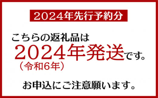 【訳あり・ご家庭用】アップルマンゴー（約2kg）＜2024年発送＞