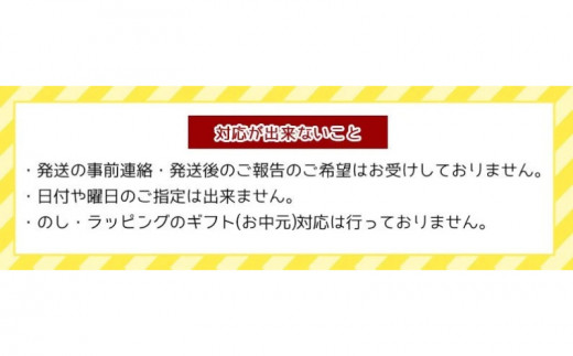 【訳あり・ご家庭用】アップルマンゴー（約2kg）＜2024年発送＞