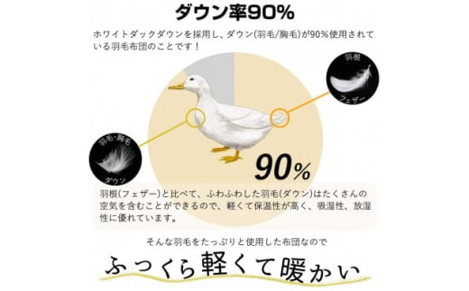 ＜春夏用＞洗える羽毛肌掛け布団シングルサイズダウン90%0.3kg 北欧調ガーブカーサピンク【1400844】