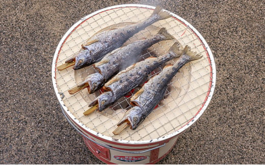 [№5895-0625]安芸高田 滝ヶ谷 やまめ串（8尾入り） 魚 川魚 おかず つまみ