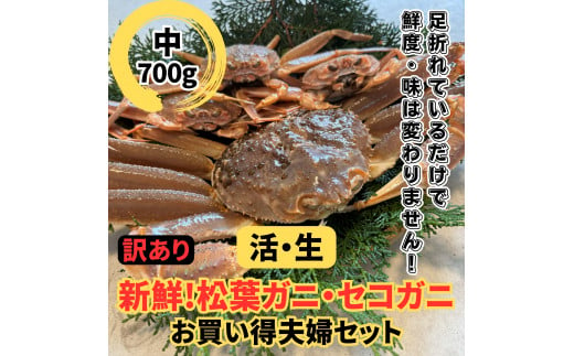 【訳あり】活！松葉ガニ・セコガニ（中）鳥取網代港 岩美 松葉がに ズワイガニ かに カニ 日本海【さかなや新鮮組】【22041】