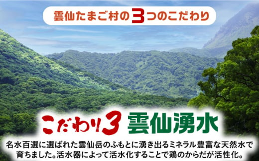 【全6回定期便】焼き鳥三昧 塩味4袋・タレ味2袋セット 長崎県/塚ちゃん雲仙たまご村 [42ACAE039] 焼き鳥 地鶏 炭火焼 もも むね