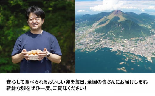 【全6回定期便】焼き鳥三昧 塩味4袋・タレ味2袋セット 長崎県/塚ちゃん雲仙たまご村 [42ACAE039] 焼き鳥 地鶏 炭火焼 もも むね