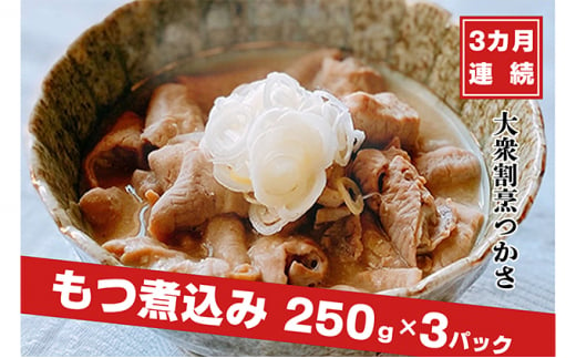 【定期便】大衆割烹つかさもつ煮込み250g×3Pギフト 3ヶ月定期便