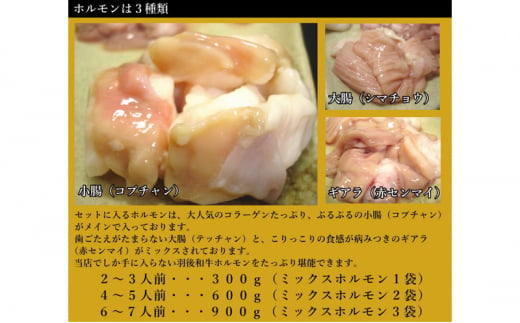 [№5325-0283]羽後和牛もつ鍋セット4～5人前 しょうゆ味