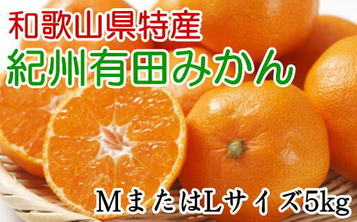 [秀品]和歌山有田みかん　5kg(MサイズまたはLサイズのいずれか) ※2024年11月中旬～1月中旬頃順次発送（お届け日指定不可）【tec834】