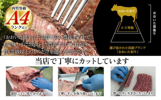 【訳あり】おおいた和牛 お試し食べ比べ 焼肉5種セット(合計350g) 牛肉 和牛 ブランド牛 赤身肉 焼き肉 焼肉 バーベキュー 大分県産 九州産 津久見市 国産 送料無料