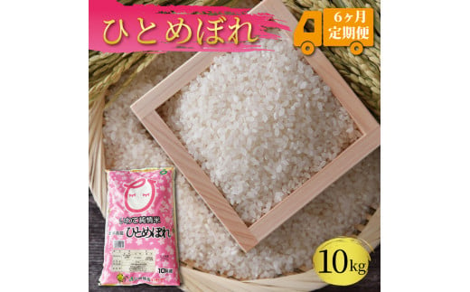 【 定期便 / 6ヶ月 】 ひとめぼれ 10kg × 6回 (計60kg) 精米 一等米 岩手県産 ご飯 白米