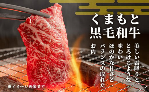 【定期便3回】【訳あり】くまもと 黒毛和牛 焼肉 切り落とし 600g