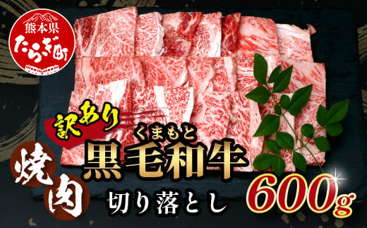 【定期便3回】【訳あり】くまもと 黒毛和牛 焼肉 切り落とし 600g