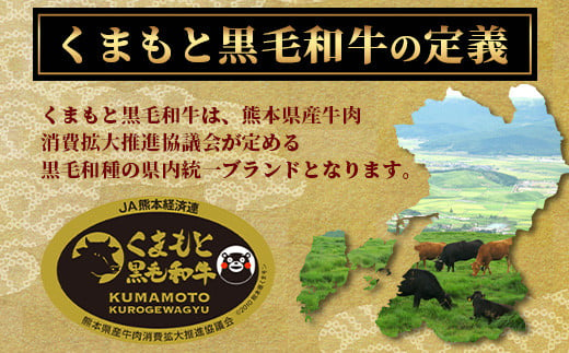 【定期便3回】【訳あり】くまもと 黒毛和牛 焼肉 切り落とし 600g