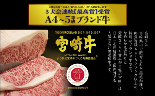 [№5738-0057]宮崎牛 スネブロック 800g ※配送不可：一部離島