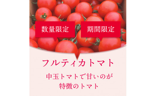 【8月20日頃より順次配送】片品村産 フルティカ （トマト）約2kg