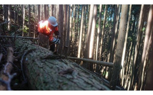 薪（広葉樹：ナラ）　中割り　約13㎏・30㎝	キャンプ アウトドア レジャー 天然木 薪 焚火 焚き火