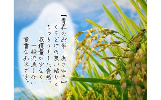 新米 令和6年産 あさゆき 白米 5kg 1袋 米 精米 こめ お米 おこめ コメ ご飯 ごはん 令和6年 H.GREENWORK 青森 青森県