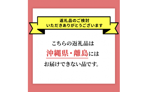 北海道 仁木町産 さくらんぼ 南陽 400g×2P Lサイズ  サクランボ 果物 フルーツ チェリー