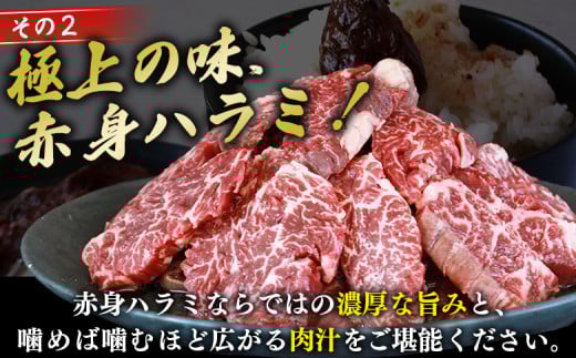 ＜秘伝の特製タレ仕込み！やわらか味付き 牛ハラミ 約2kg（500g×4）＞ 訳あり はらみ ハラミ 赤身 大容量 牛肉 お肉 焼肉 BBQ 味付き タレ漬け 甘辛 レシピ 丼 献立 惣菜 おかず 簡単 グルメ 株式会社丸和 愛媛県 西予市【冷凍】『最短10営業日以内に順次出荷』