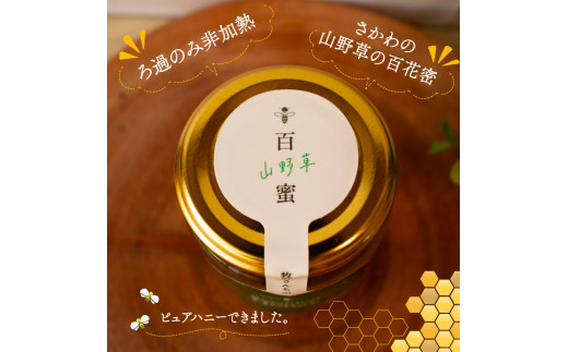 【160g×2瓶】国産 純粋 はちみつ 蜂蜜 無添加 百花蜜 生ハチミツ ピュアハニー ろ過のみ ボタニカルハニー 牧野さんの山野草ハチミツ 牧野富太郎のふるさと佐川町から直送