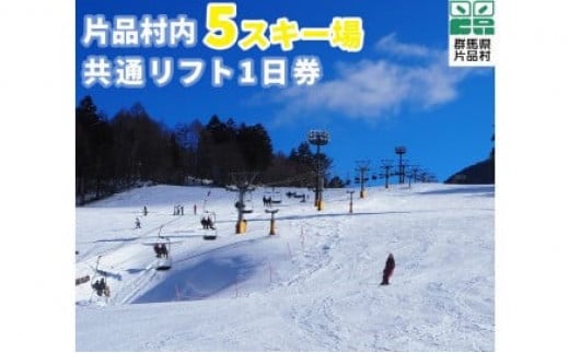 おもてなし宿泊券2冊&共通スキーリフト一日券（引換券）1枚（2025シーズン）セット