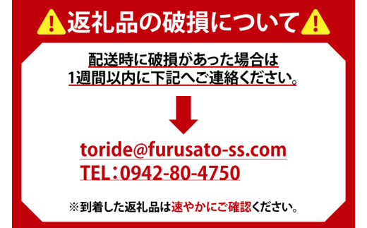 AC005　キリンビール一番搾り　取手工場産　500ml×24缶ケース