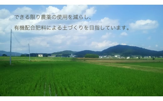 《3ヶ月定期便》 【生産者支援】 《令和5年産》茨城県桜川市産こしひかり 15kg（ 5kg × 3袋 ）× 3回 茨城県産 桜川 米 お米 白米 コメ ごはん 精米 コシヒカリ 国産 限定 [SC035sa]