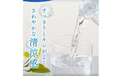 【６ヵ月定期便】サントリー天然水 南アルプス（2L×6本）