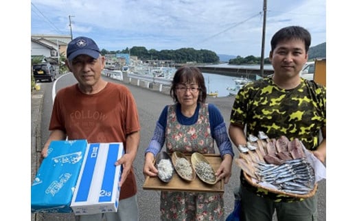 旬の干物４種類おまかせセット　無添加 お楽しみ 干し魚 健康食品 おかず 惣菜 おつまみ【R00764】