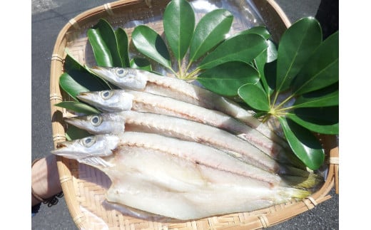 旬の干物４種類おまかせセット　無添加 お楽しみ 干し魚 健康食品 おかず 惣菜 おつまみ【R00764】