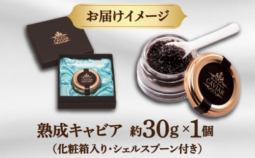 高知産熟成キャビア 約30g (化粧箱) シェルスプーン付Black Jewel 【興洋フリーズ株式会社】 [ATBX010]