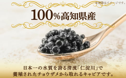 高知産熟成キャビア 約30g (化粧箱) シェルスプーン付Black Jewel 【興洋フリーズ株式会社】 [ATBX010]