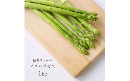 アスパラガス 1kg ｜ アスパラ アスパラガス 野菜 山口 美祢 特産品 名産品 旬の野菜 野菜 1kg