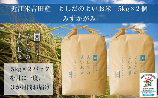 【新米】【定期便】米 定期便 3ヶ月 近江米 みずかがみ 10kg 令和6年 よしだのよいお米 お米 こめ コメ おこめ 白米 3回 お楽しみ