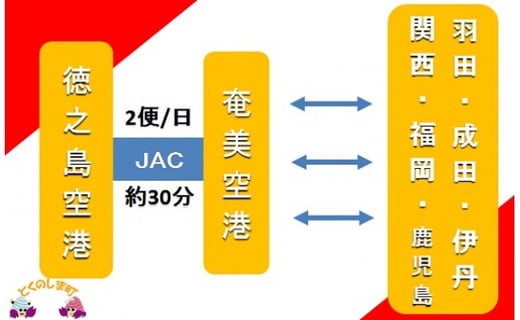 東京や大阪からお越しの方は奄美空港からの乗り継ぎが便利です。奄美空港には関西空港や成田空港からLCCも飛んでいますよ。